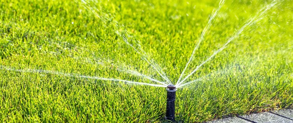 Sprinkler head watering grass in West Buechel, KY.