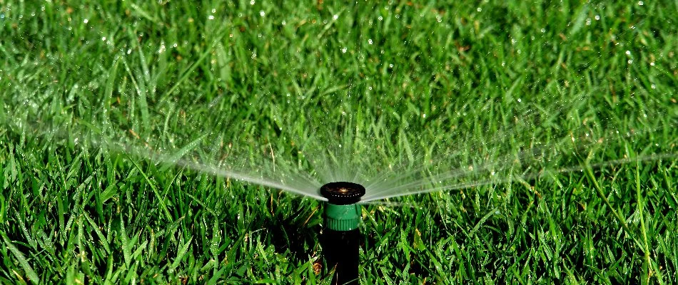 A sprinkler irrigation head in grass spraying water.