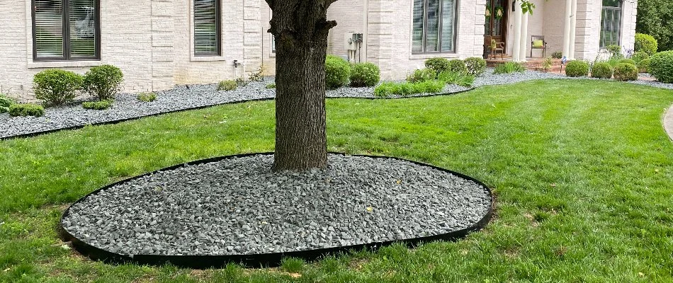 Tree and shrubs on rock landscaping in Clarksville, IN.
