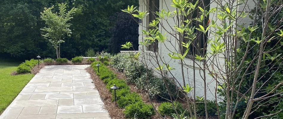 Landscaping near entrance of home in Windy Hills, KY.