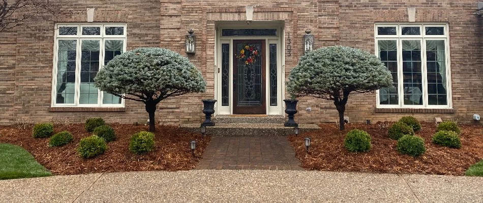 Trees and shrubs in Louisville, KY, in front of a brown house.