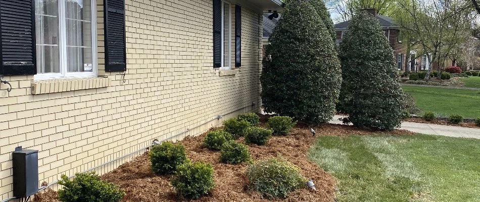 Landscape bed in front of a house with pine straw and plants.