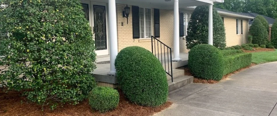 Neat and healthy trees and shrubs on a property in Springhurst, KY.