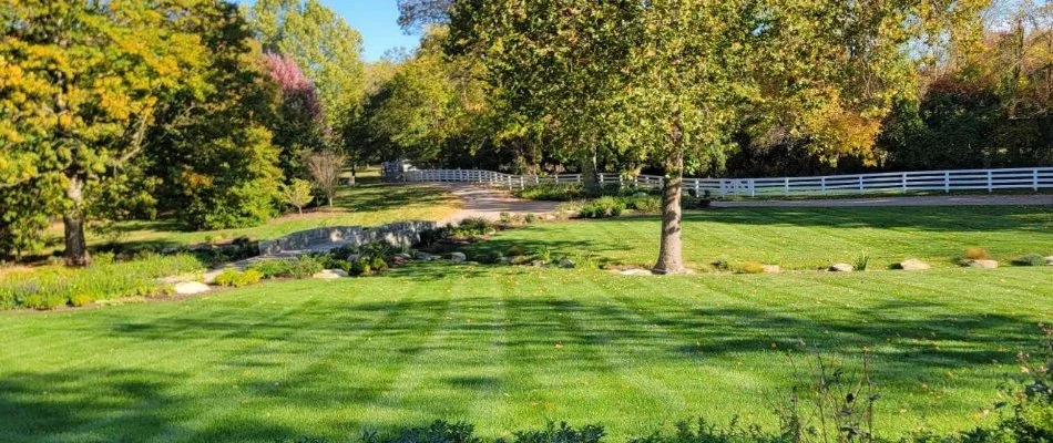 Trees on a lush green lawn in Clarksville, IN.