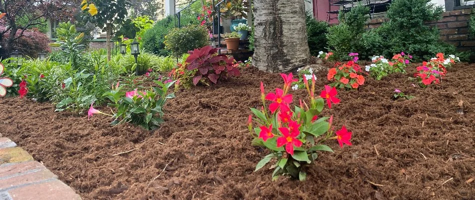 A vibrant flower bed with colorful blooms and greenery in a front yard.