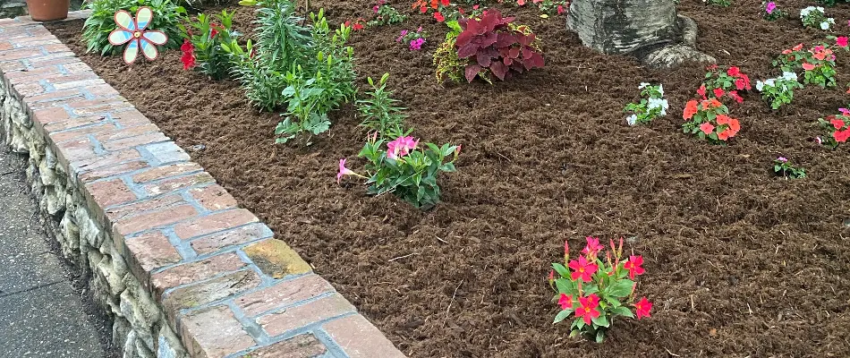 Beautifully landscaped front yard with colorful flowers and a tree.