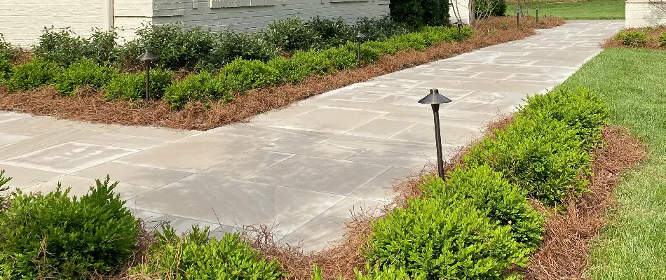 Landscaped garden walkway with trimmed hedges and outdoor lighting in Louisville, KY.