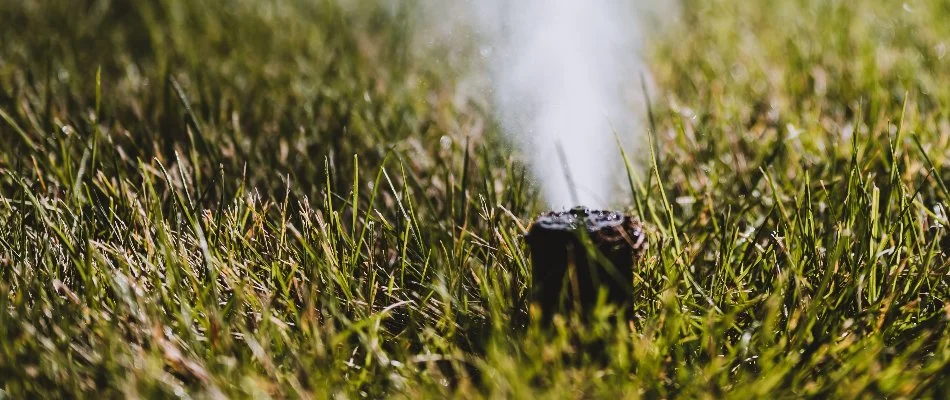 Water from an irrigation system in Louisville, KY, being blown out of a sprinkler head.