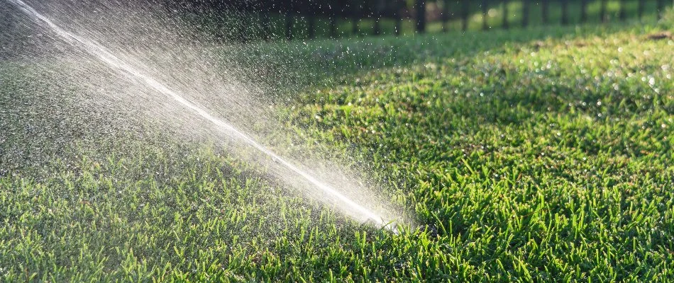 Water spraying out of a sprinkler head in New Albany, IN.