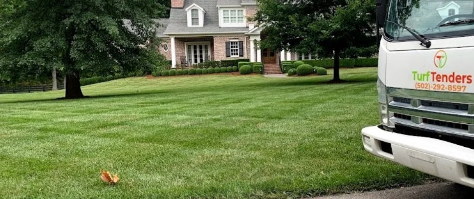 Green, residential lawn that is free of weeds with a work truck in front of it.