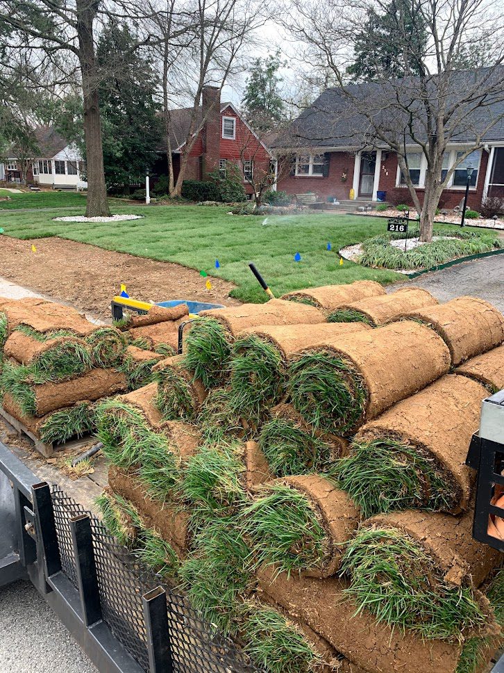 Rolled grass ready for installation on lawn