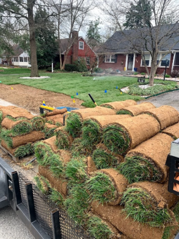Rolled grass in for lawncare in a Louisville, KY neighborhood